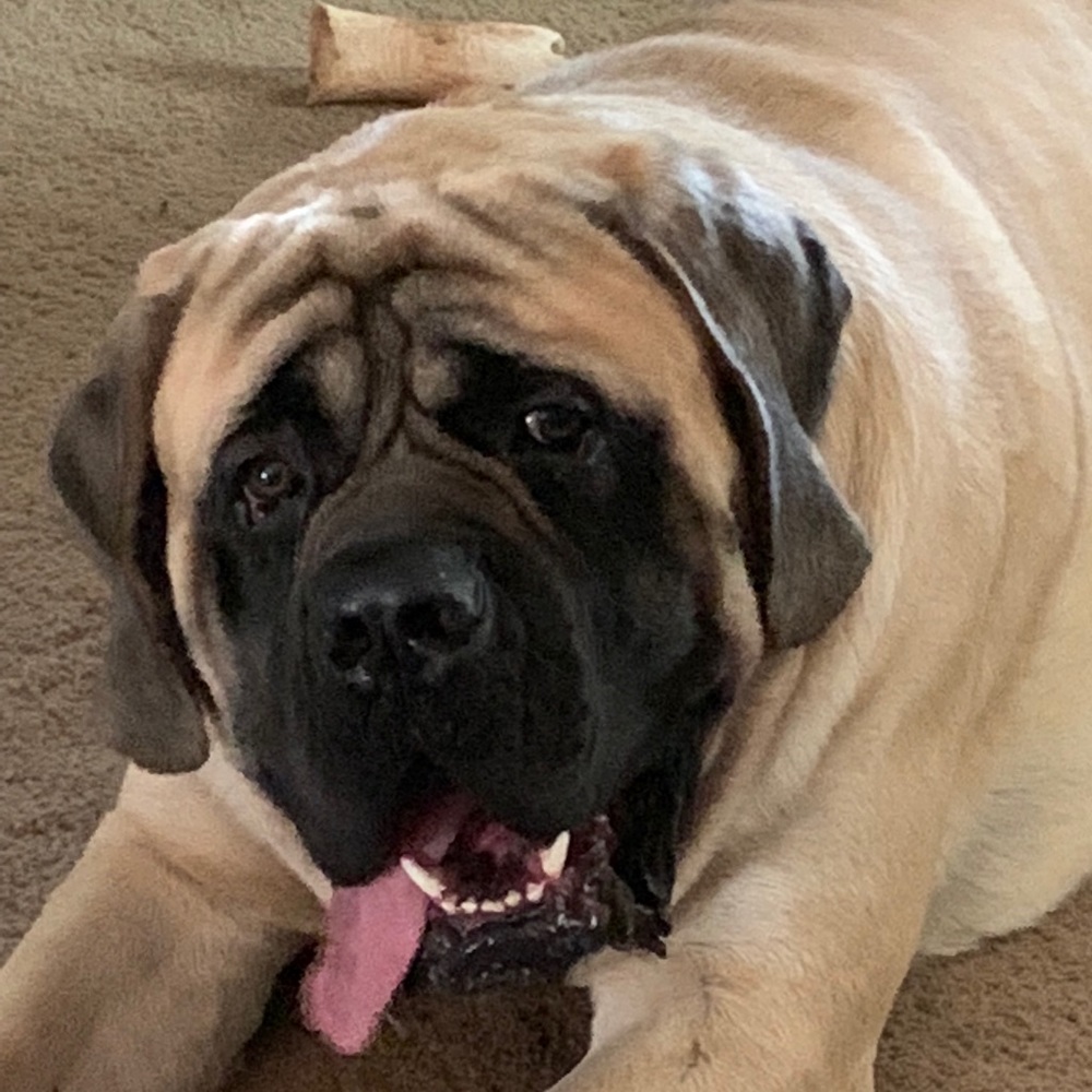 Meet your Posher, Tammy